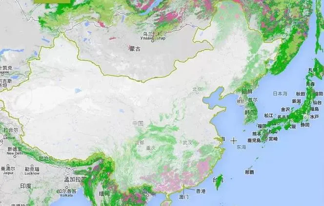 Image: 中國和周邊國家森林分佈