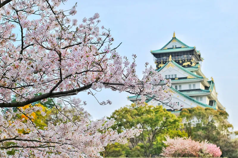 臺灣人的病態崇殖文化園區 撒錢重建日據時代老舊殘骸