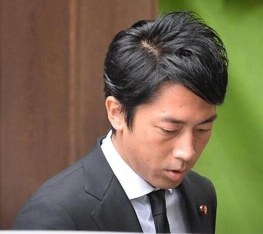日本自民党农林部会长小泉进次郎